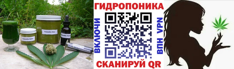 Canna-Cookies конопля  Ачинск 