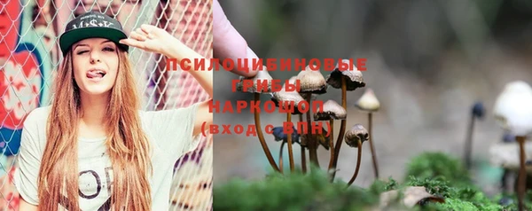 хмурый Алексеевка