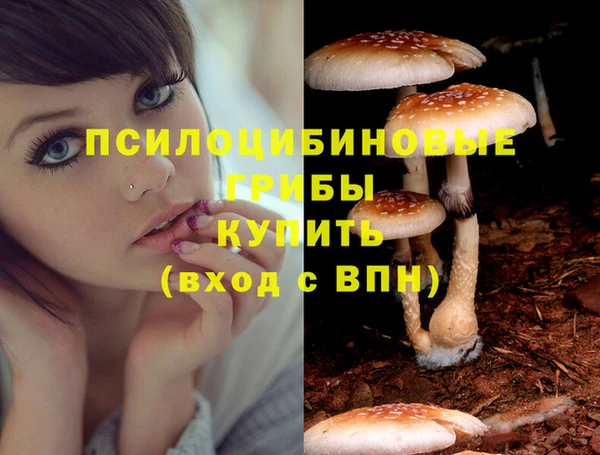винт Алзамай