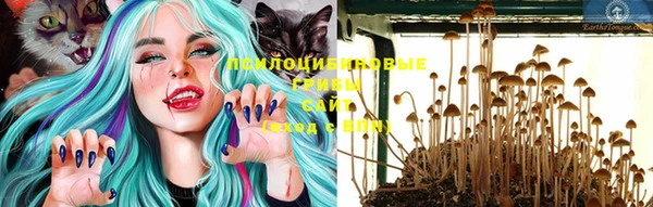 винт Алзамай