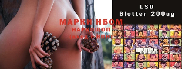 винт Алзамай