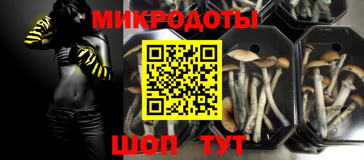 Галлюциногенные грибы мухоморы Ачинск