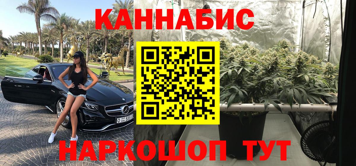 Бошки марихуана индика  Вход с VPN  Ачинск  Конопля Amnesia  Бошки Шишки конопля 